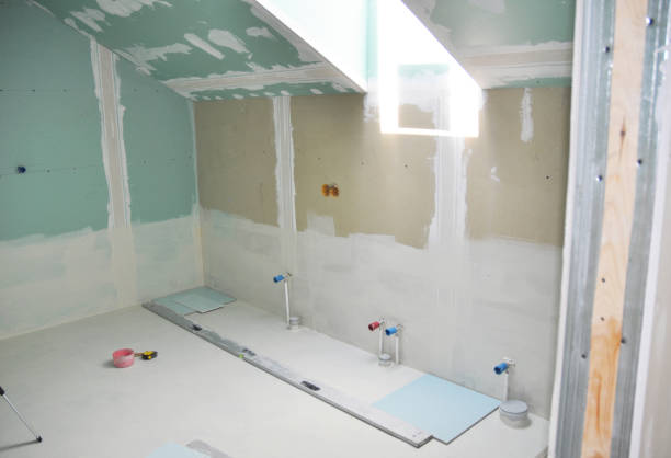 Best Commercial Mold Inspection  in Capron, IL