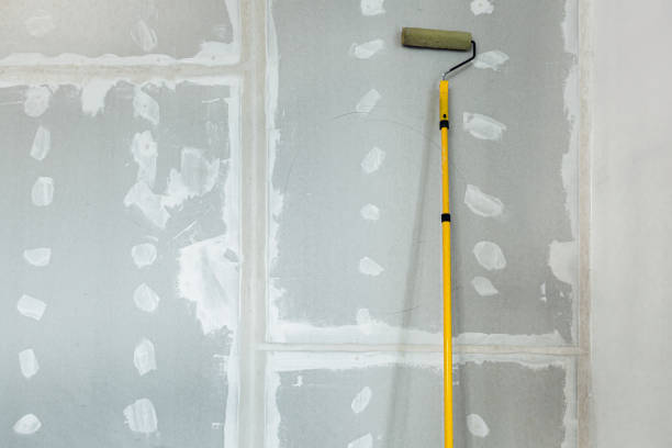 Best HVAC Mold Inspection and Cleaning  in Capron, IL