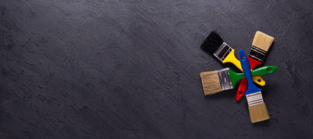 Best Black Mold Removal  in Capron, IL