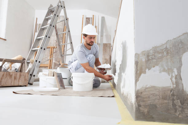Best Post-Construction Mold Inspection  in Capron, IL