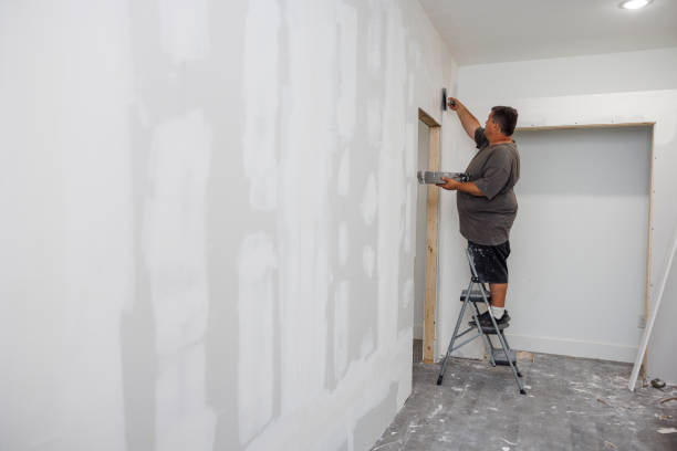 Best Asbestos and Lead Testing During Mold Inspection  in Capron, IL