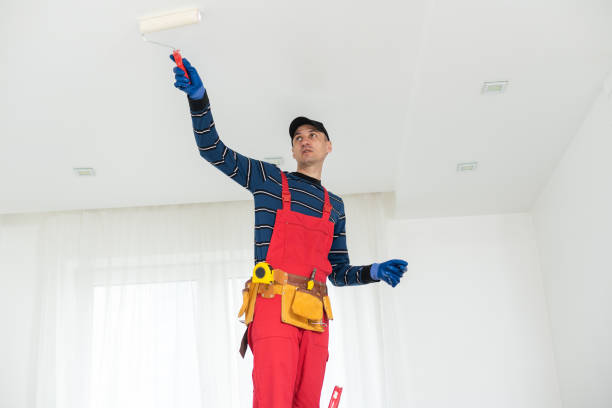 Best Mold Documentation for Insurance Claims  in Capron, IL