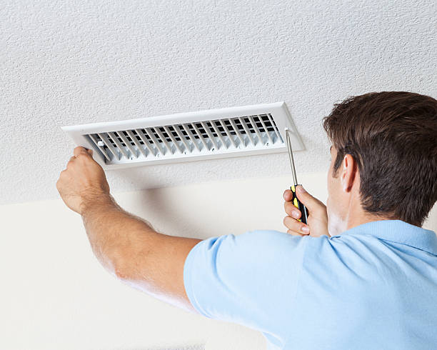 Trusted Capron, IL Mold Removal Experts