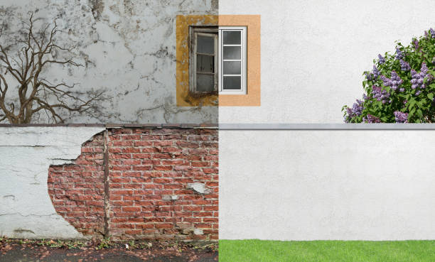 Best Basement Mold Removal  in Capron, IL