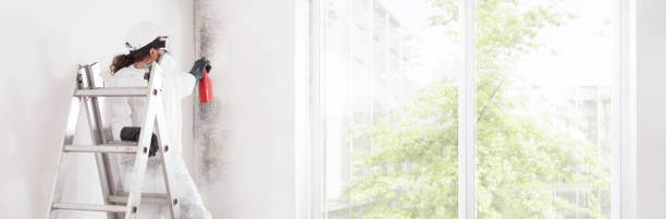 Best Water Damage & Mold Remediation  in Capron, IL