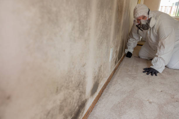 Best Mold Remediation for Healthcare Facilities  in Capron, IL